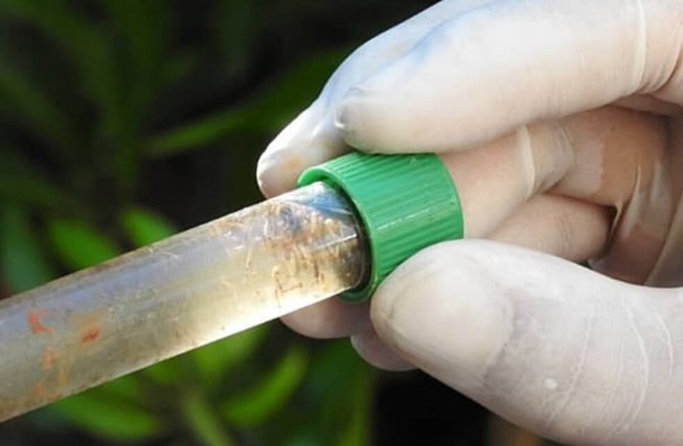 La próxima semana se llevará adelante la XXXIV edición del Programa LIRAa en Posadas