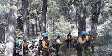 Los bomberos cordobeses que combaten las llamas en el sur del país y recibieron año nuevo en ese lugar. (Twitter @alfonmosquera)