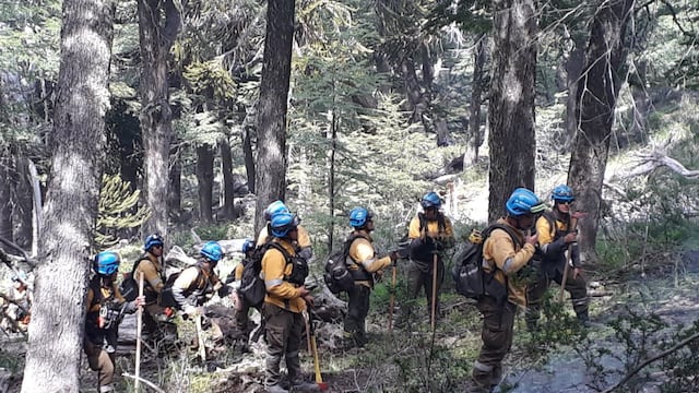 Los bomberos cordobeses que combaten las llamas en el sur del país y recibieron año nuevo en ese lugar. (Twitter @alfonmosquera)