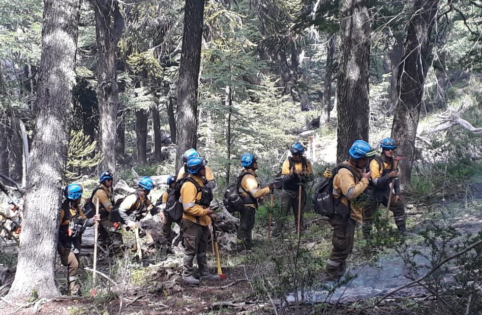Bomberos cordobeses ayudan a combatir el fuego en la Patagonia