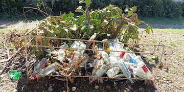 La evidencia de cada fin de semana, a un lado del polideportivo de Castro Barros esquina Mario Solís: decenas de botellas vacías que dan cuenta de los excesos cometidos en el espacio público.