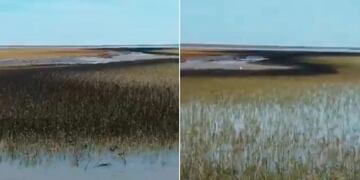 El intendente de Bahía Blanca, Federico Susbielles, reaccionó ante el derrame en la Ría de Bahía Blanca.