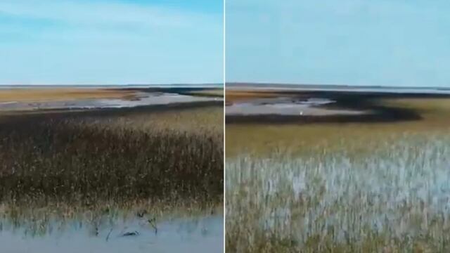 El intendente de Bahía Blanca, Federico Susbielles, reaccionó ante el derrame en la Ría de Bahía Blanca.