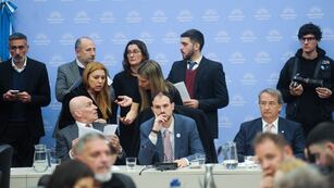 El debate sobre las PASO comenzará este martes en comisiones (Foto: Federico López Claro)