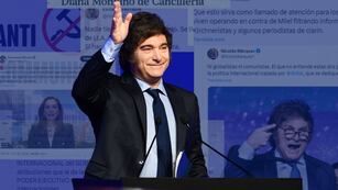La reacción del presidente Javier Milei tras el desplazamiento de Mondino. (Pedro Castillo / La Voz)