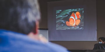 Presentaron el proyecto para que Ushuaia sea sede.