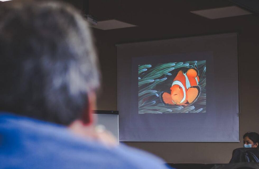 Ushuaia: Presentan proyecto para que la ciudad sea sede del Mundial de Fotografía y Video Subacuático