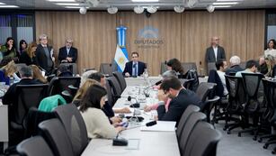 La comisión investigadora $LIBRA escuchó los primeros testimonios (Foto: HCDN)
