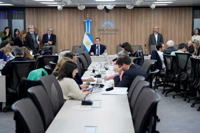 La comisión investigadora $LIBRA escuchó los primeros testimonios (Foto: HCDN)