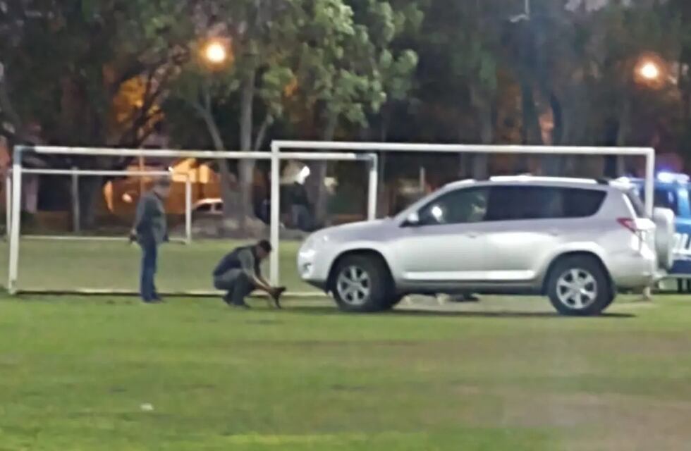 Le robaron, siguió con la camioneta al ladrón y lo chocó
