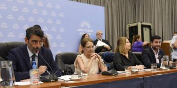 Los diputados Rodolfo Tailhade y María Luján Rey, presidentes de las comisiones de Justicia y de Legislación Penal. Foto: HCDN.