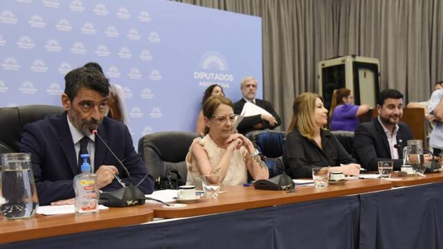 Los diputados Rodolfo Tailhade y María Luján Rey, presidentes de las comisiones de Justicia y de Legislación Penal. Foto: HCDN.