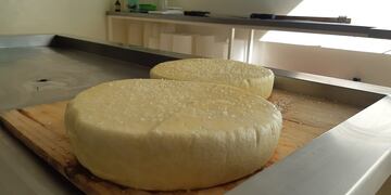 El queso artesanal que elaboran los estudiantes de la escuela Francisco García es con leche de oveja. Imagen ilustrativa.