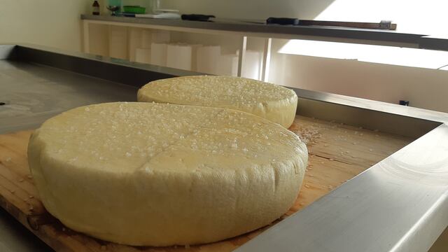 El queso artesanal que elaboran los estudiantes de la escuela Francisco García es con leche de oveja. Imagen ilustrativa.