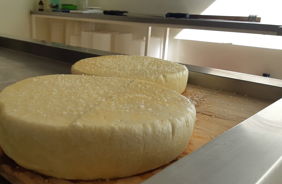 Estudiantes sanrafaelinos obtuvieron un premio nacional por la elaboración de queso proveleta