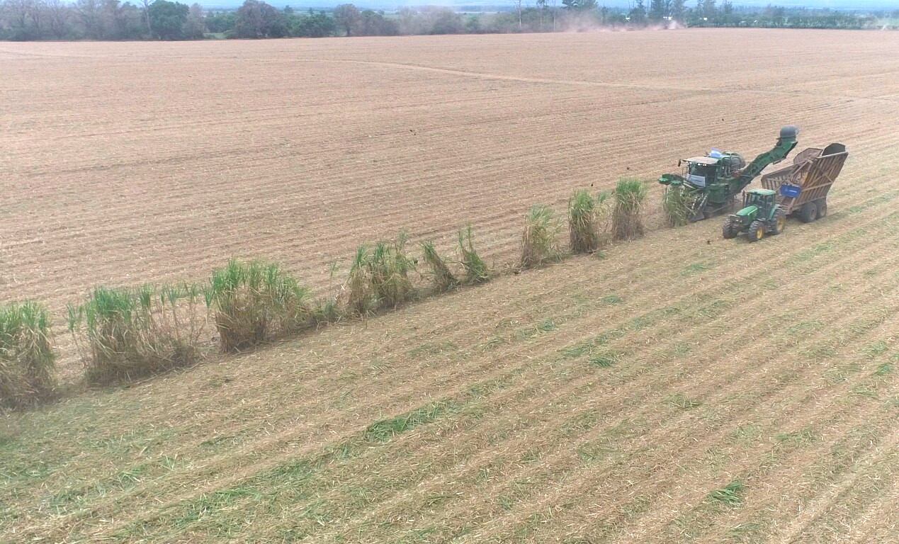La última jornada de trabajo en la zafra de la empresa Ledesma, en Libertador General San Martín.
