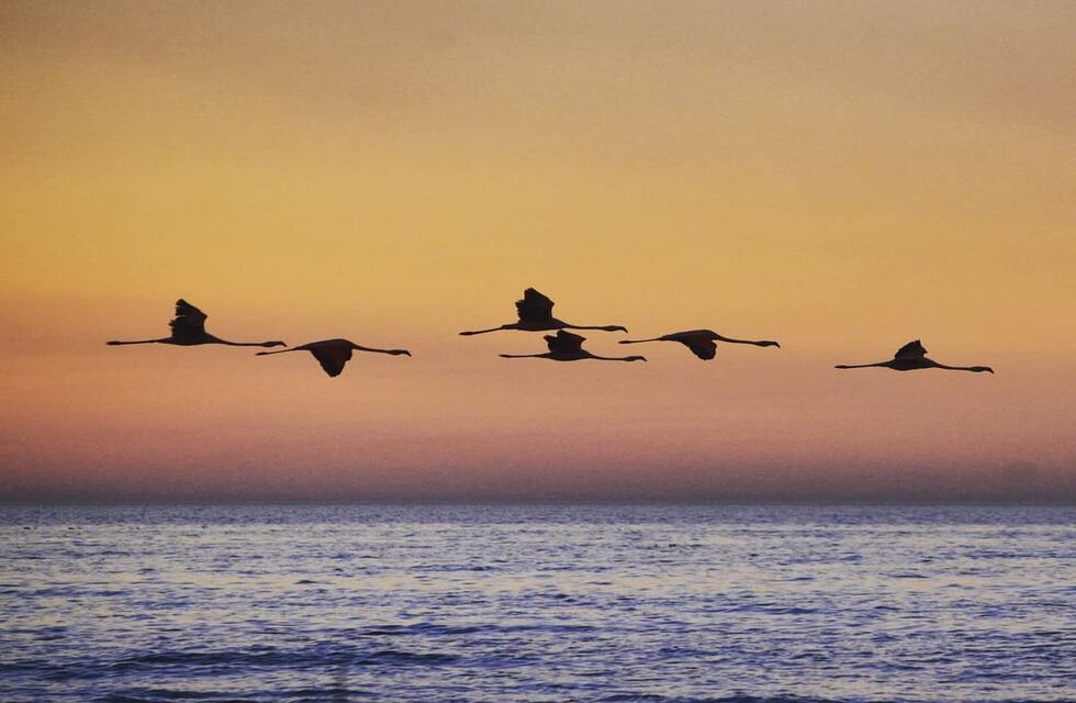 Clima en Ansenuza: el tiempo para el fin de semana