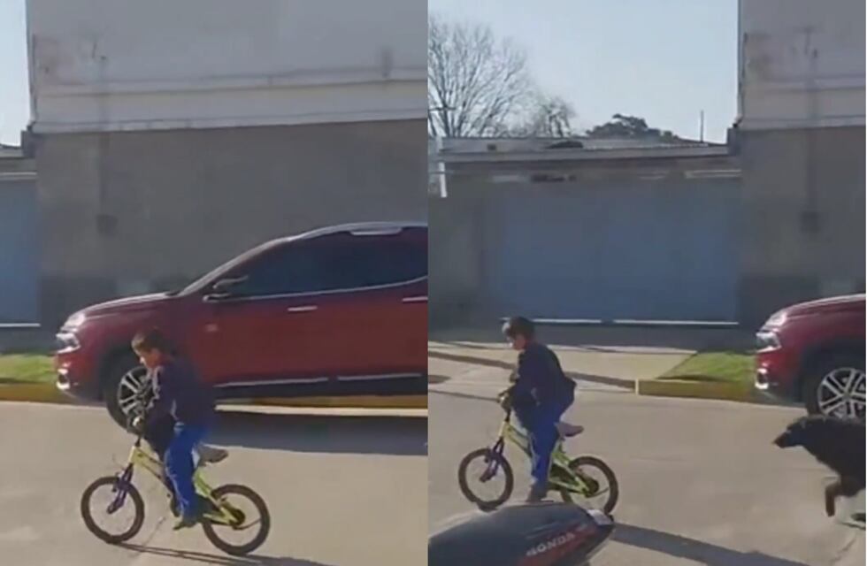 Exceso de ternura: un nene santafesino y su “amigo” derritieron las redes y se hicieron virales con un paseo