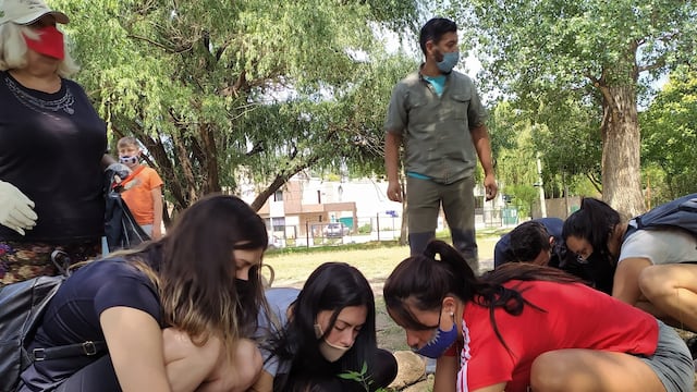 Voluntarias carlospacenses plantando especies nativas en un sector de la ciudad. (Foto: archivo / Municipalidad VCP).