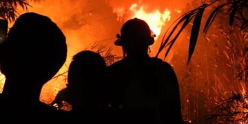 Alerta por incendios en Misiones: solamente el lunes se registraron más de 30 focos en 15 municipios.