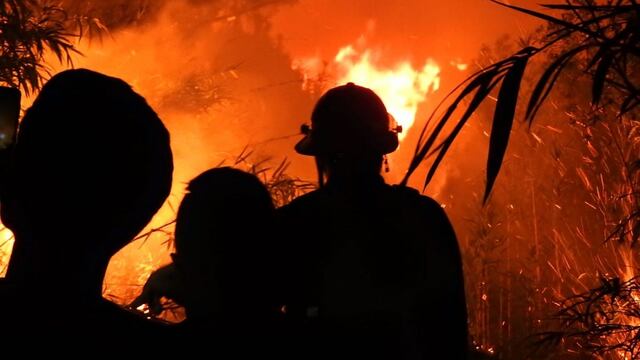 Alerta por incendios en Misiones: solamente el lunes se registraron más de 30 focos en 15 municipios.