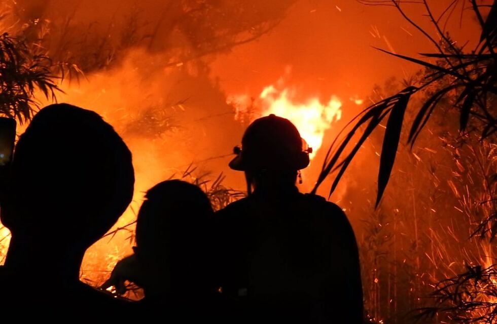 Alerta por incendios en Misiones: solamente el lunes se registraron más de 30 focos en 15 municipios