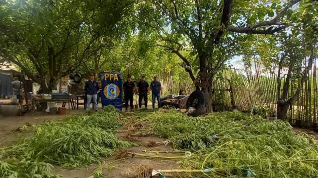 El allanamiento forma parte del Operativo Lapacho.