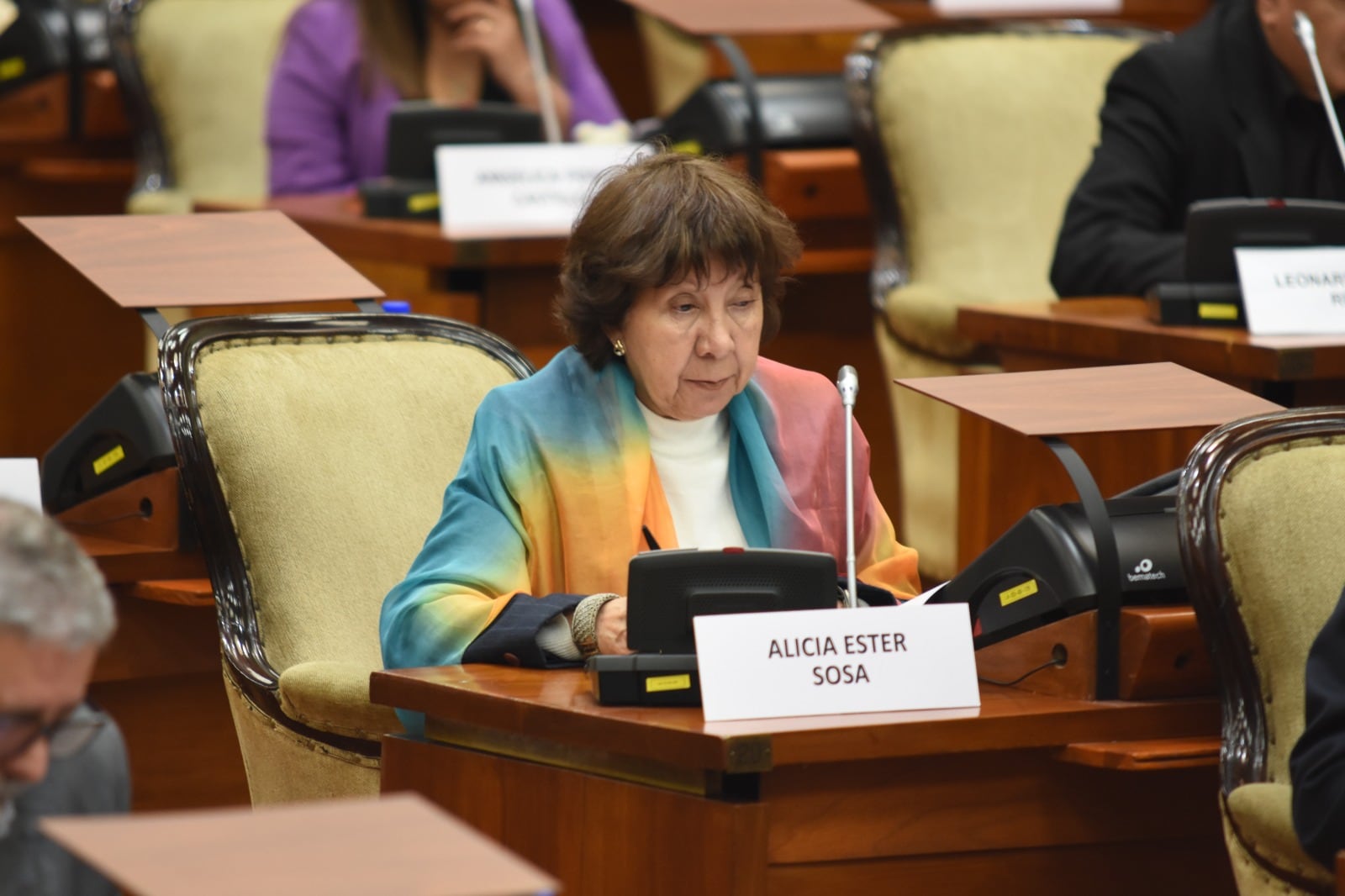 La diputada Alicia Sosa al hacer uso de la palabra en nombre del bloque Primero Jujuy, para recordar a Carlos Ferraro.