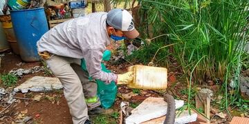 Posadas: realizan operativos contra el dengue durante el período interbrote