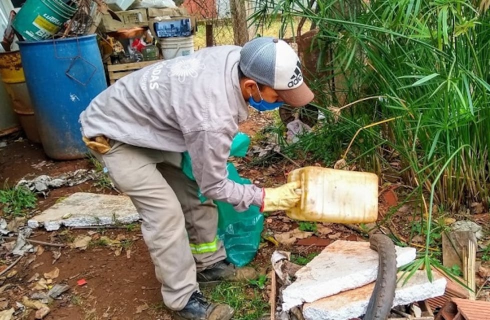 Posadas: realizan operativos contra el dengue durante el período interbrote
