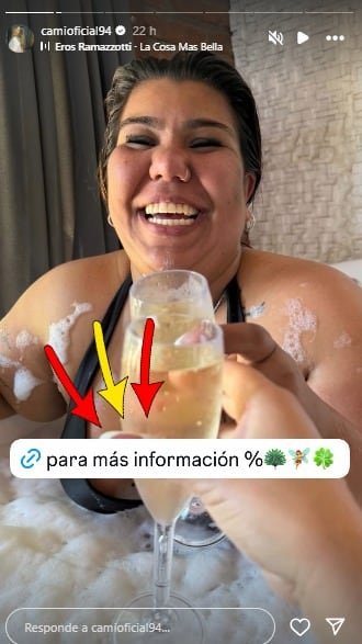 La publicación que metería en serios problemas a Camilota.