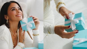 Luciendo las joyas más prestigiosas del mundo.