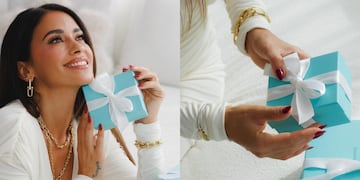 Luciendo las joyas más prestigiosas del mundo.