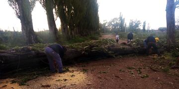 La tormenta tiró árboles, redes eléctricas y voló techos en Las Malvinas y Cañada Seca.