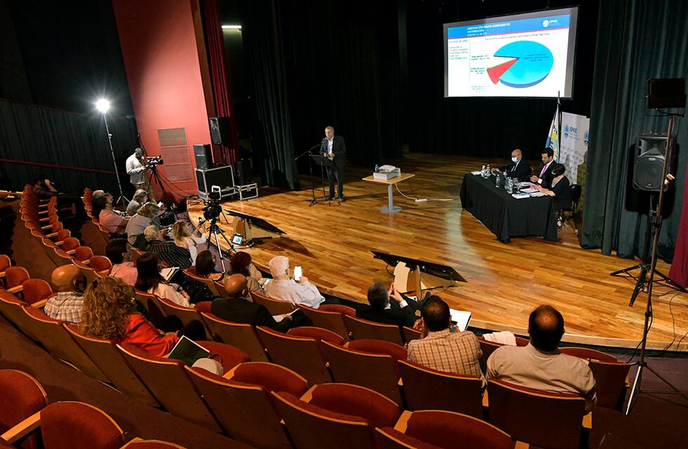 Podés revivir la audiencia pública de la Defensoría del Público en la Región de Cuyo