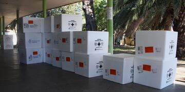 Con 9.000 nuevas dosis, Catamarca refuerza la vacunación antigripal 2025 para grupos de riesgo.