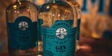 Gin Coronel - ER