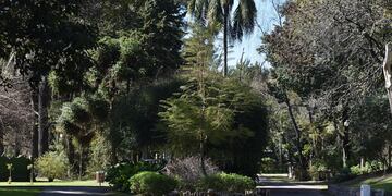 Las aves son cuidadas por profesionales del Bioparque.