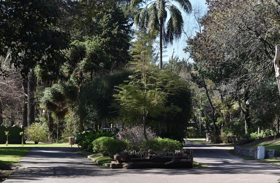 Nacieron dos guacamayos de una especie en peligro de extinción en el Bioparque de La Plata