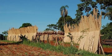 Realizarán una jornada informativa sobre el Programa “Mi Primer Secadero” en Eldorado.