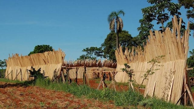 Realizarán una jornada informativa sobre el Programa “Mi Primer Secadero” en Eldorado.