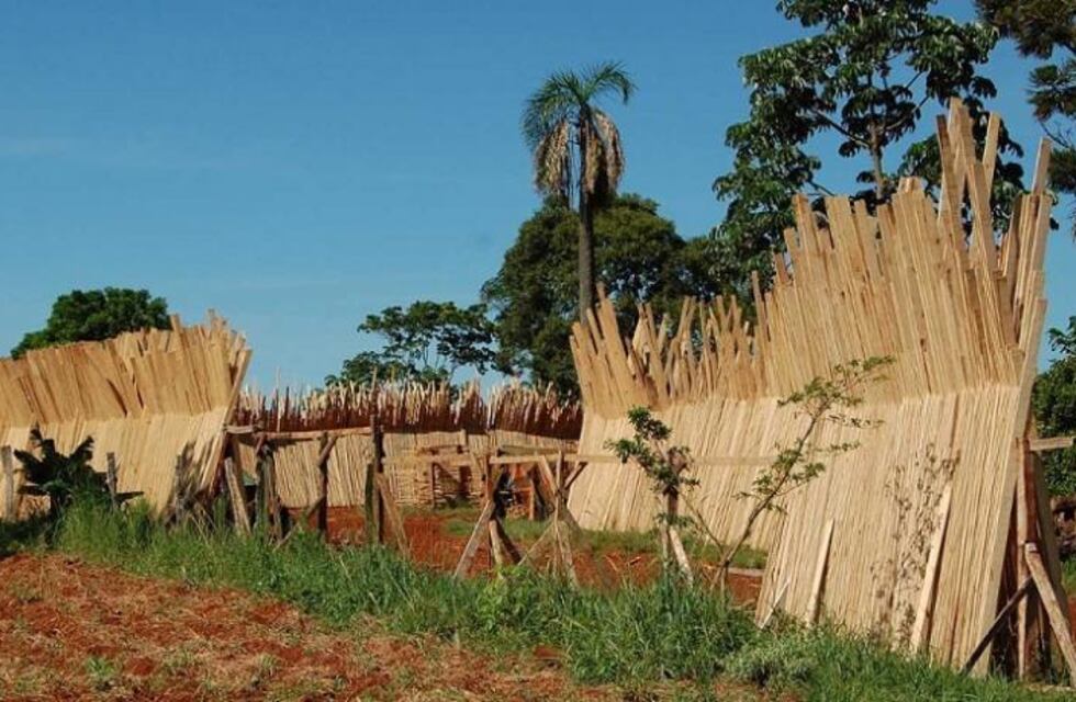 Realizarán una jornada informativa sobre el Programa “Mi Primer Secadero” en Eldorado