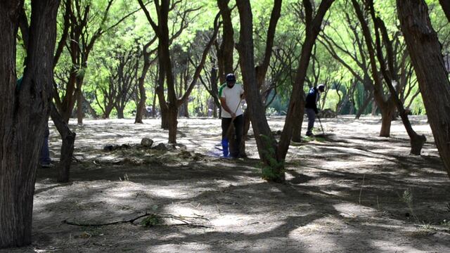 La familia pasaba un día de camping cuando los asaltaron. Imagen ilustrativa.