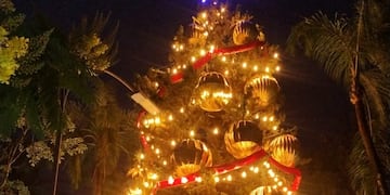 El tradicional árbol navideño engalana la noche de Concepción.