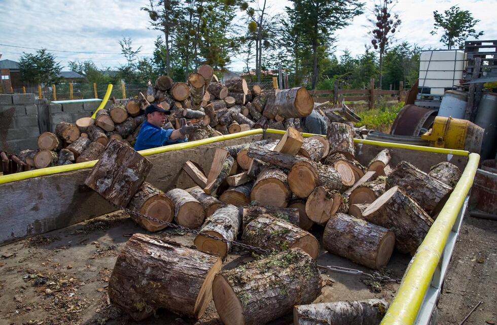 Tolhuin: el Municipio solicita renovar el registro de beneficiarios del servicio de leña