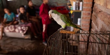 Foto: Ignacio Blanco / Los Andes