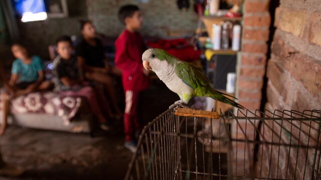 Foto: Ignacio Blanco / Los Andes