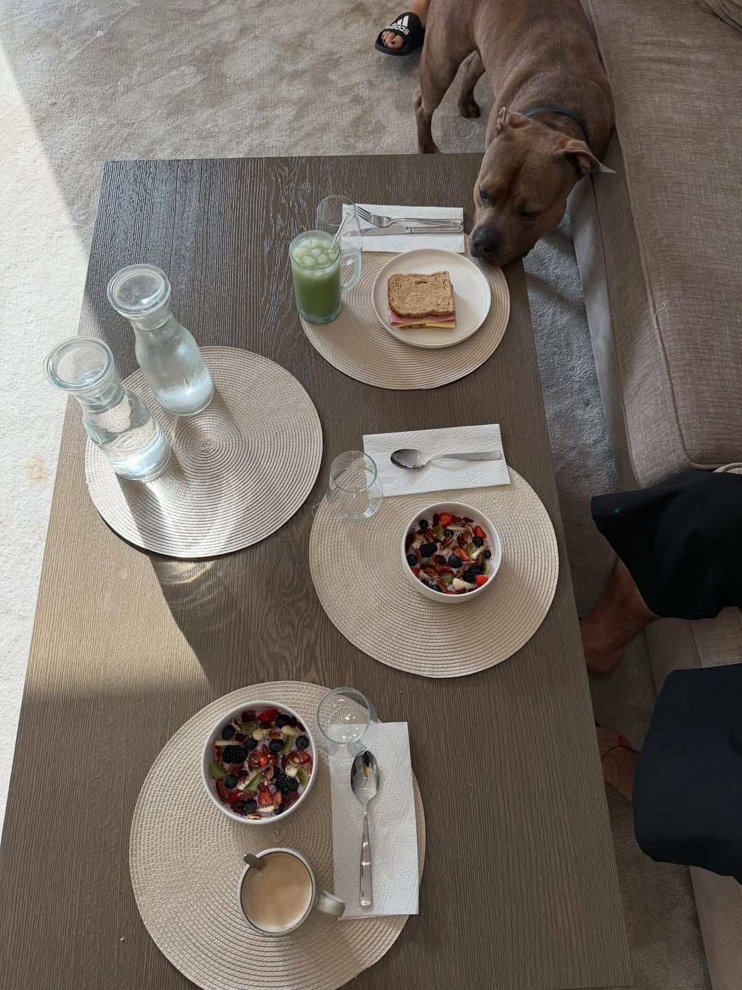 El perro de Alexis Mac Allister