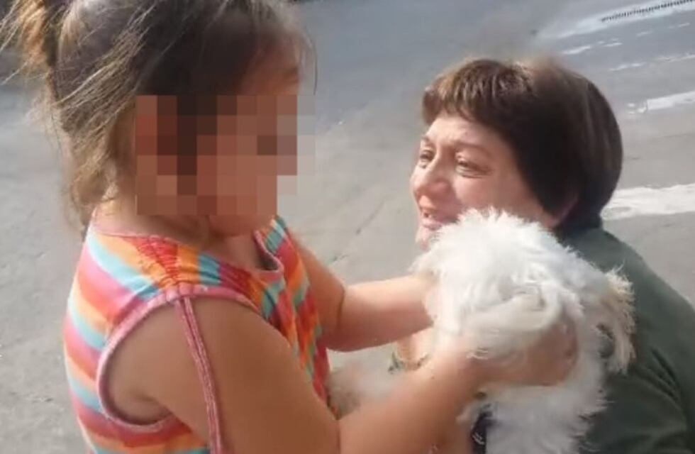Le robaron su auto con el perro dentro y se lo devolvieron: el video del emotivo reencuentro en Córdoba