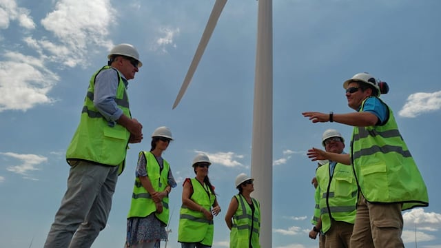 Continúa la instalación de aerogeneradores en el Parque Eólico Pampa Energía.